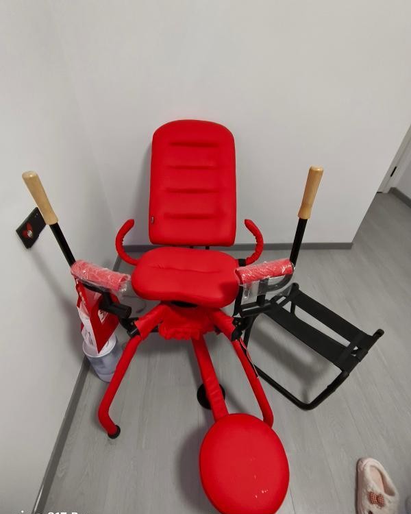 武汉奶兔
