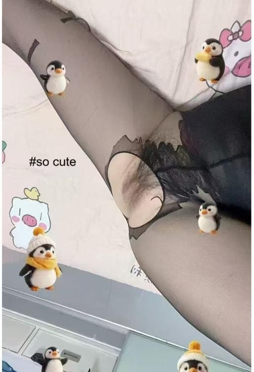 罗湖小蜜蜂