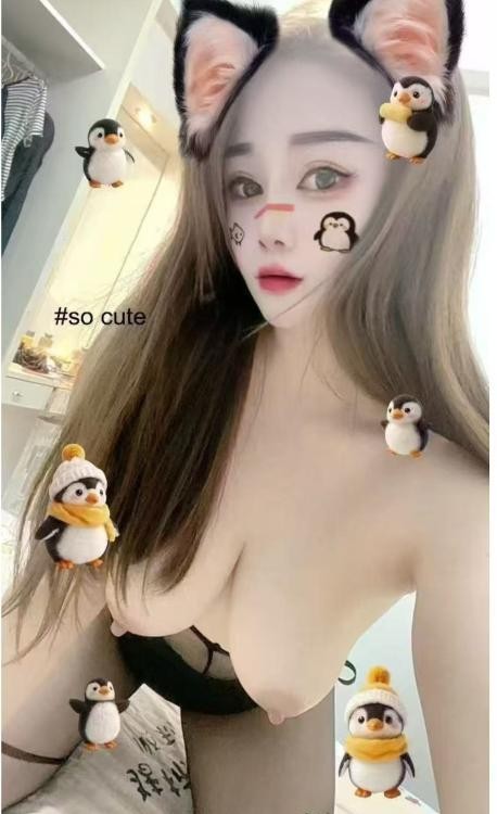 罗湖小蜜蜂
