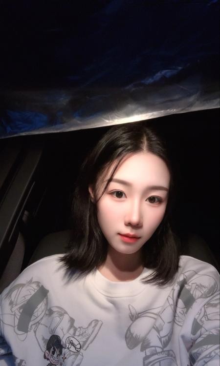 洋洋回来啦