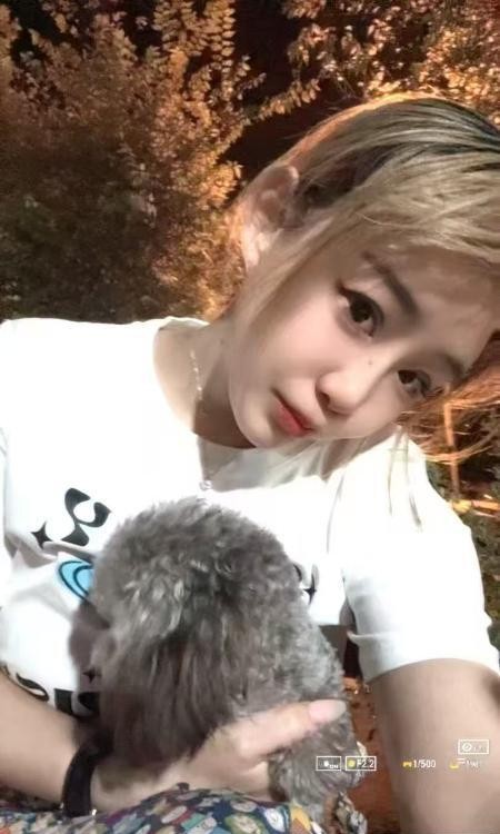 铁西糖糖