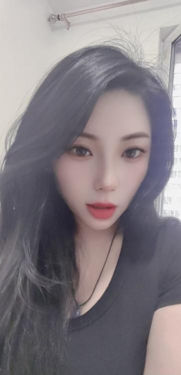 白玫瑰