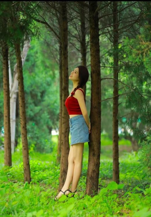洪山婷婷