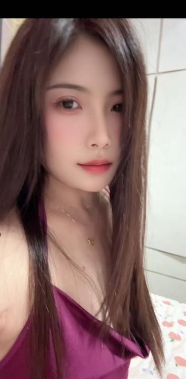 秦淮宸宸