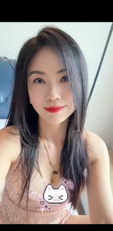 广州花都燕子