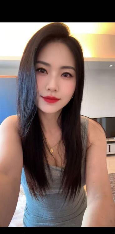 广州花都燕子
