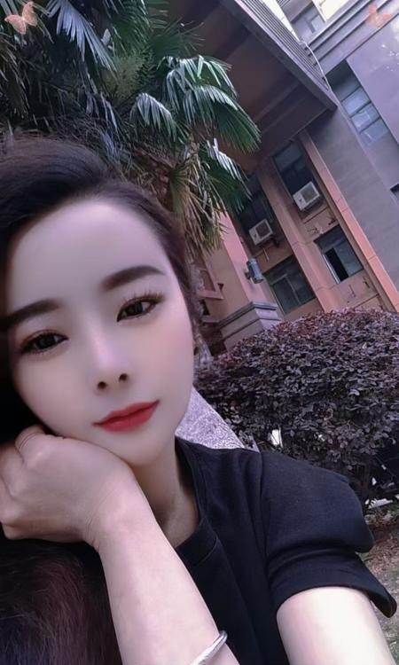 包河小夜猫