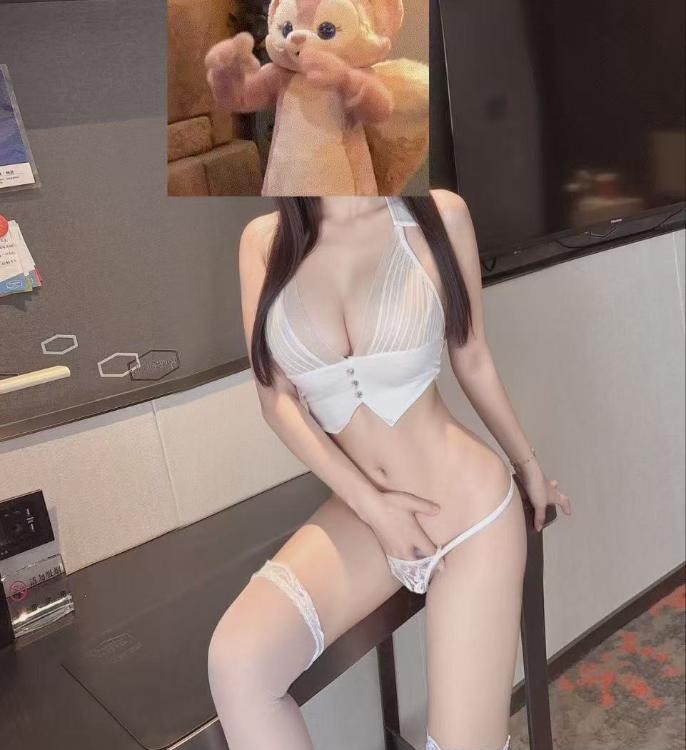 园区小菲