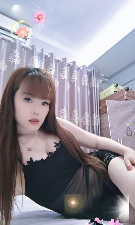 南城服务型诗诗