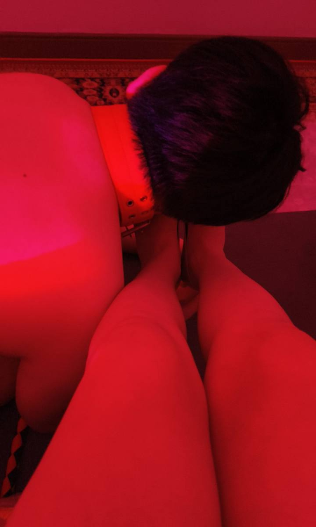 SM调教如意