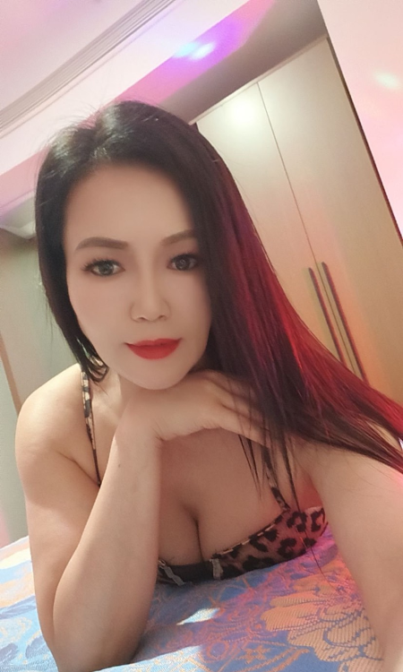 SM调教如意
