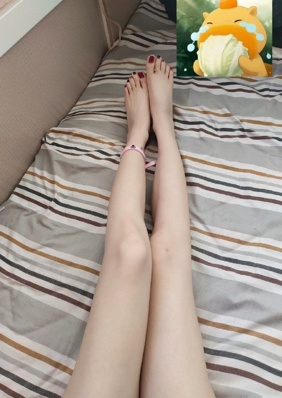 聊城