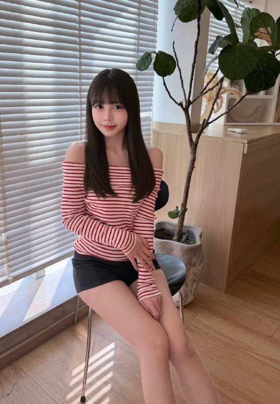 已新茶