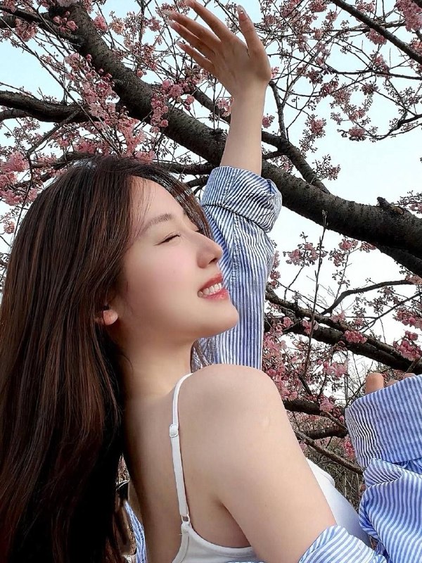 新茶