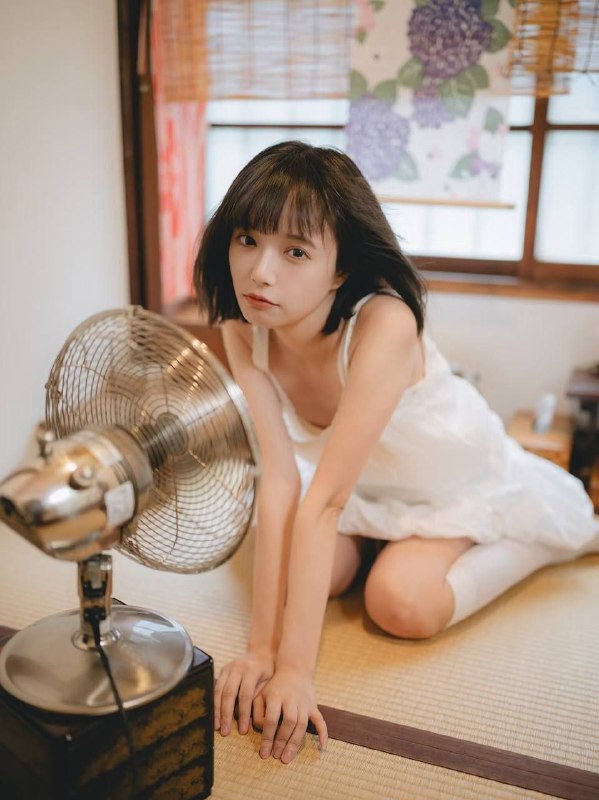 已新茶