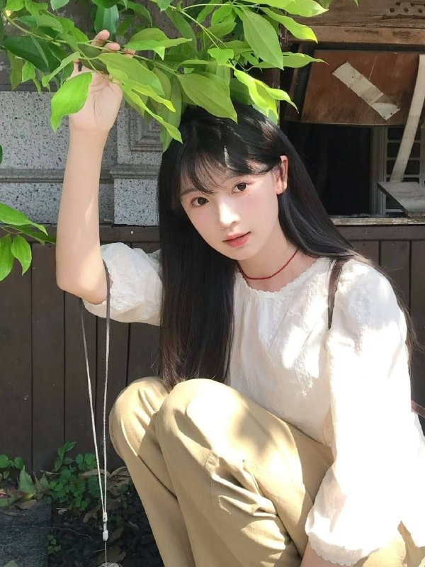 品茶
