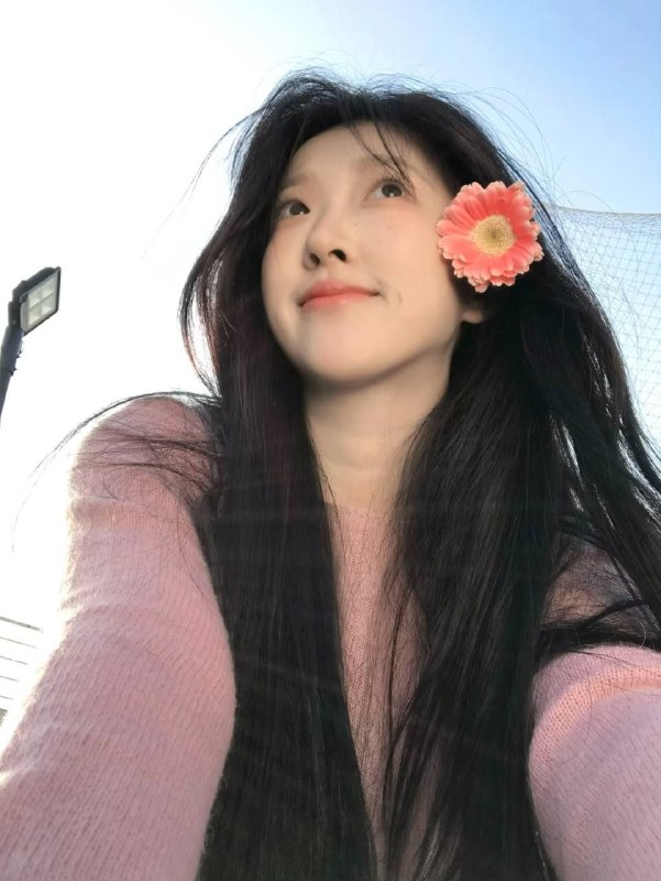 全套